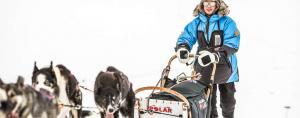 Erlebnisbericht vom Hundeschlittenrennen in Lappland powered by Fjäll Räven