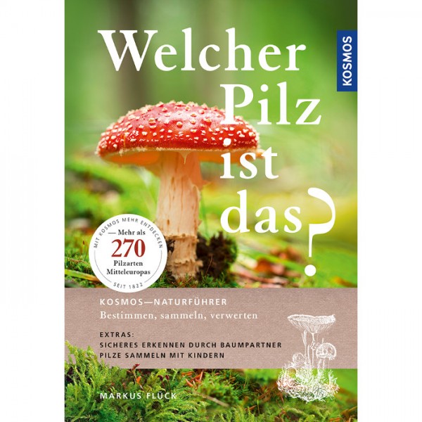 Welcher Pilz ist das?