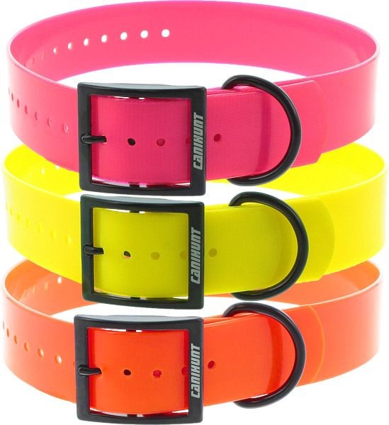 Halsband XTREM Doppelstegschnalle