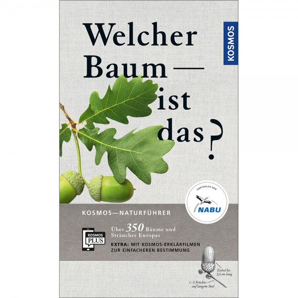 Welcher Baum ist das?