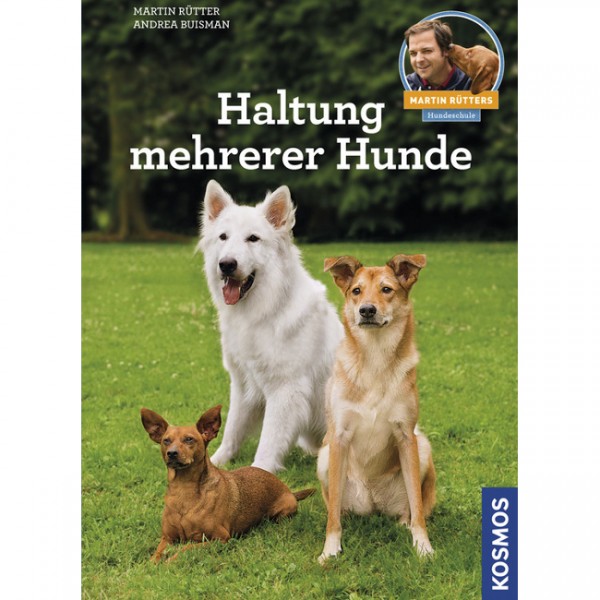 Haltung mehrerer Hunde