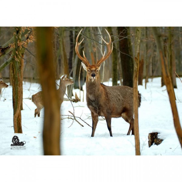Tierauflage Hirschrudel im Winterwald, 59 x 84 cm