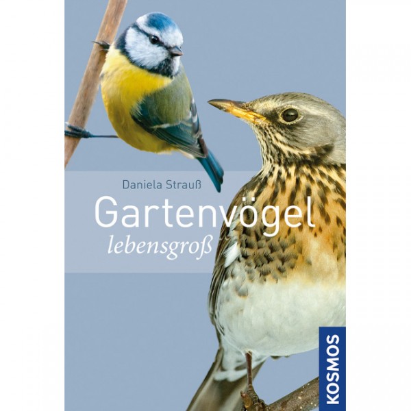 Gartenvögel lebensgroß