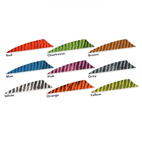 Barred 4'' Shield Naturfeder gestreift